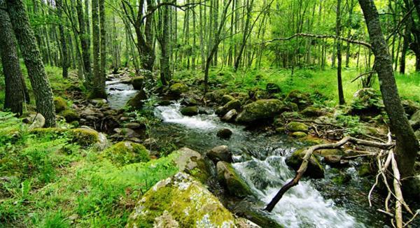 Ruralrut-El Tiemblo Wifi, Cabina De Hidromasaje, Aire Acondicionado Y A Pocos Metros De Zonas De Bano Naturales Exterior foto